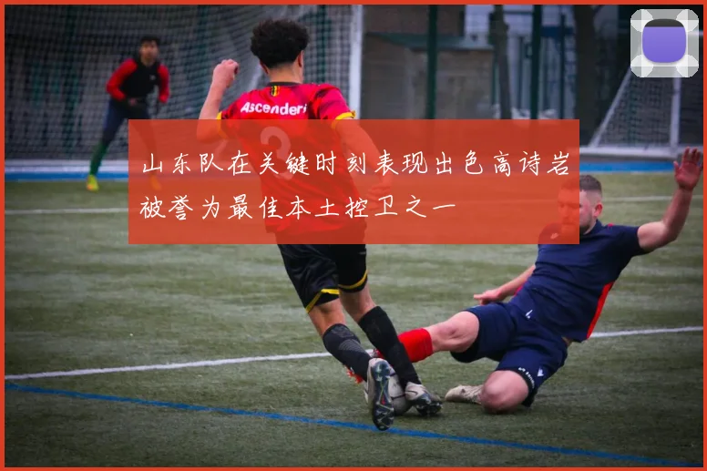 山东队在关键时刻表现出色高诗岩被誉为最佳本土控卫之一